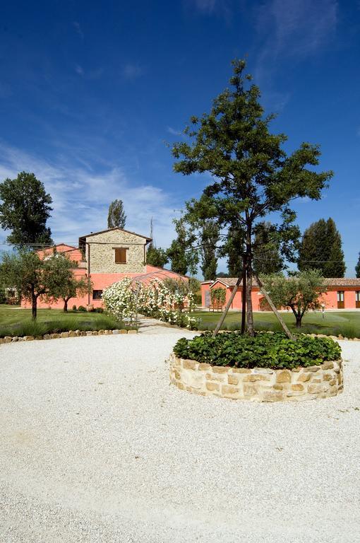 Ripa Agriturismo Casale Le Selvette מראה חיצוני תמונה