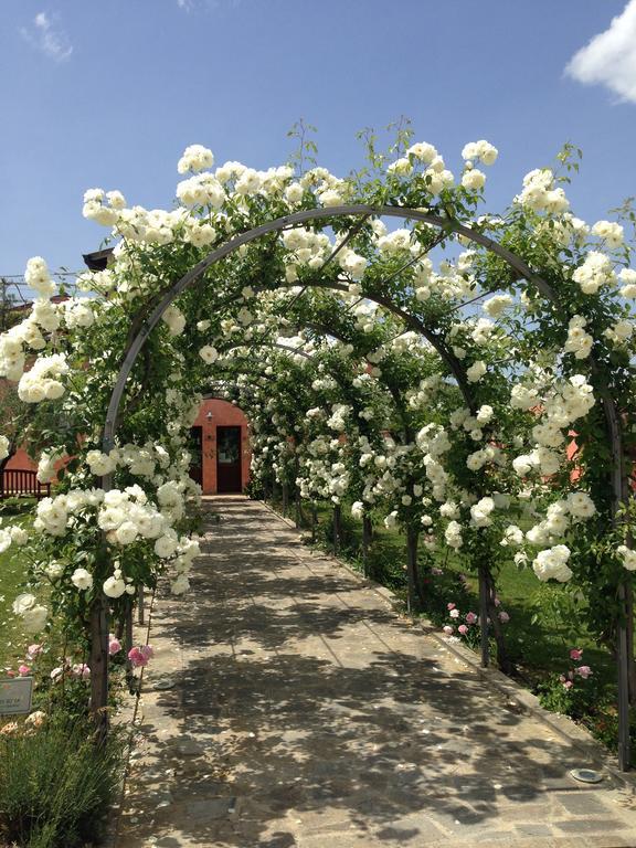 Ripa Agriturismo Casale Le Selvette מראה חיצוני תמונה