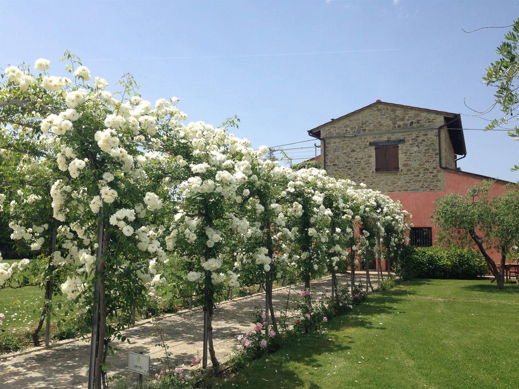 Ripa Agriturismo Casale Le Selvette מראה חיצוני תמונה